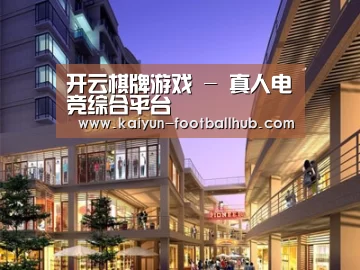 案例展示一