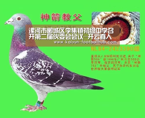 开云登录入口