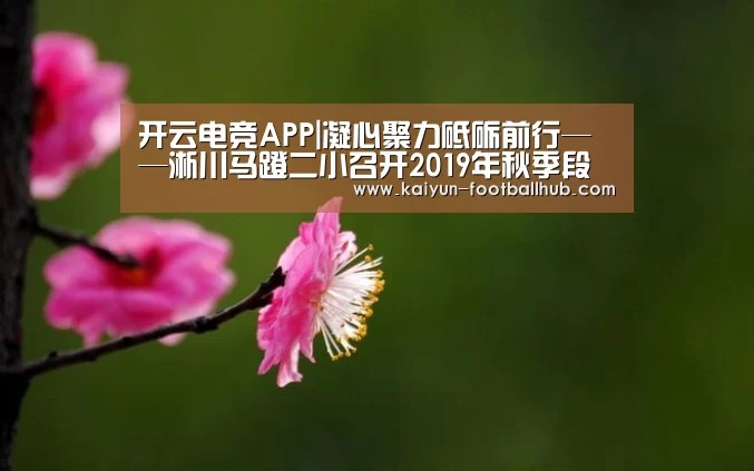 开云电竞APP