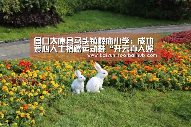 周口太康县马头镇薛庙小学:成功爱心人士捐赠运动鞋“开云真人娱乐中心”(图3) 开云篮球竞猜